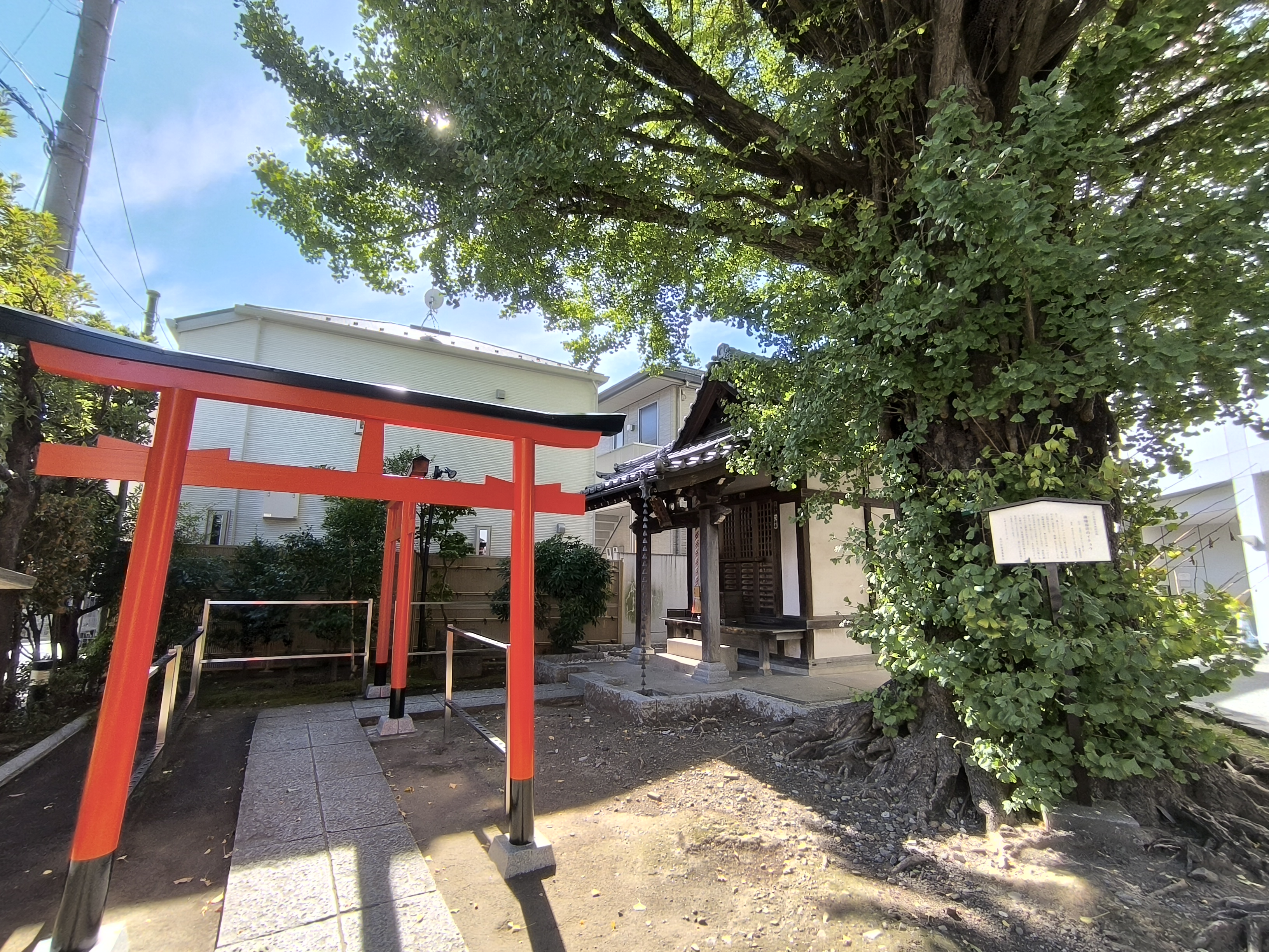 圖書館後面某個稲荷神社，View好好看…