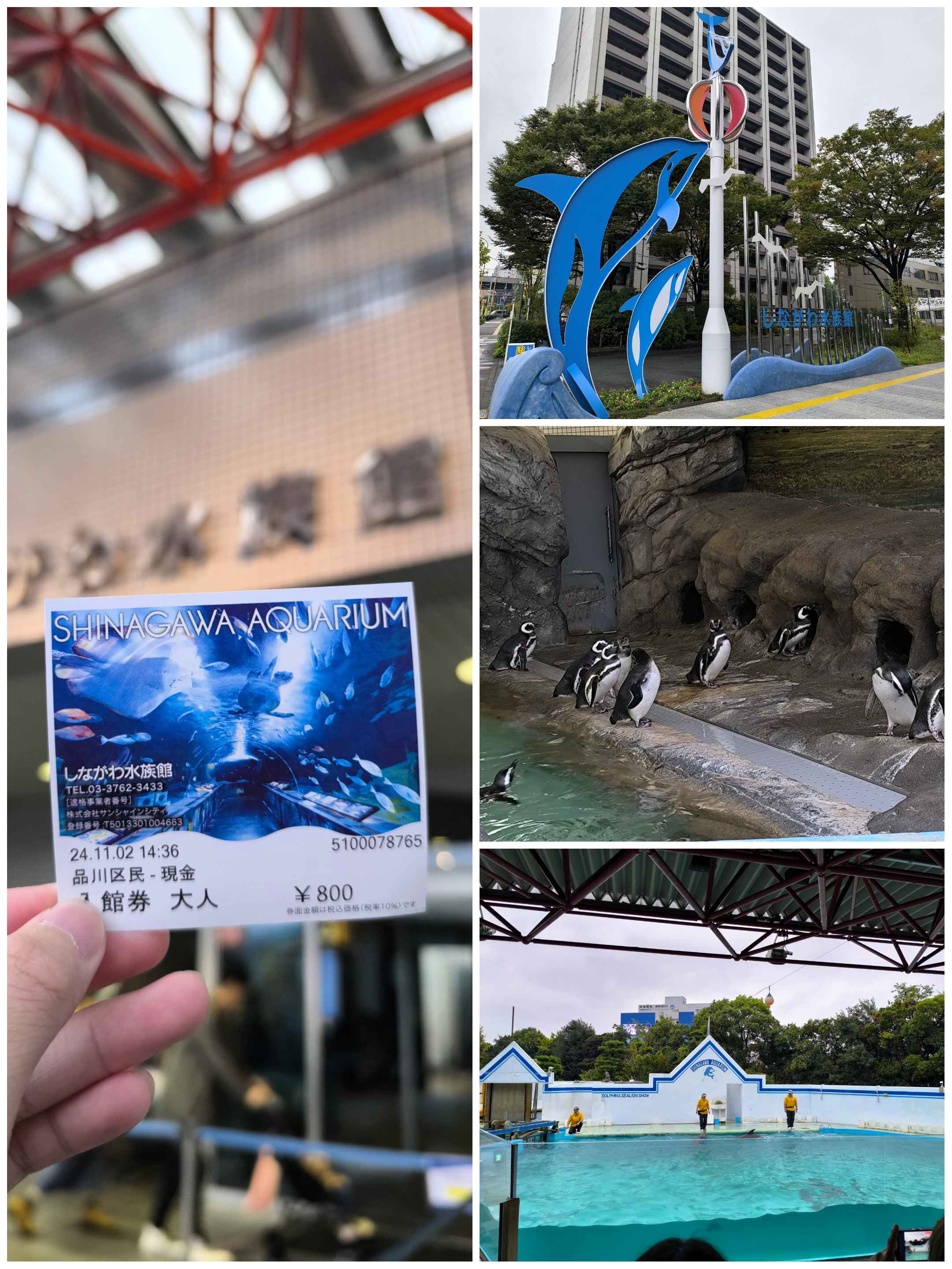 水族館！雖然上上周也去過了，但果然還是有一些些不一樣的感覺XD